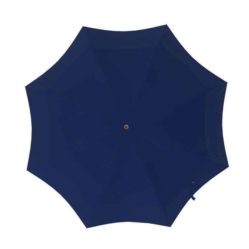 Morning Glory Blue Umbrella - Objet D'Art