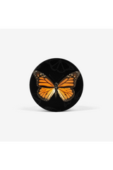 Monarch Butterfly Collapsible Grip & Stand for Phones and Tablets - Objet D'Art