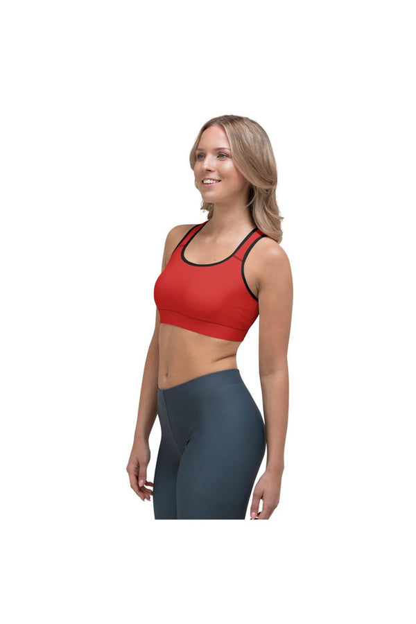 Solid and Striped Sports bra - Objet D'Art